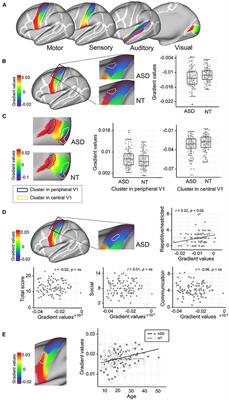 Atypical Integration of Sensory-to-Transmodal Functional Systems Mediates Symptom Severity in Autism